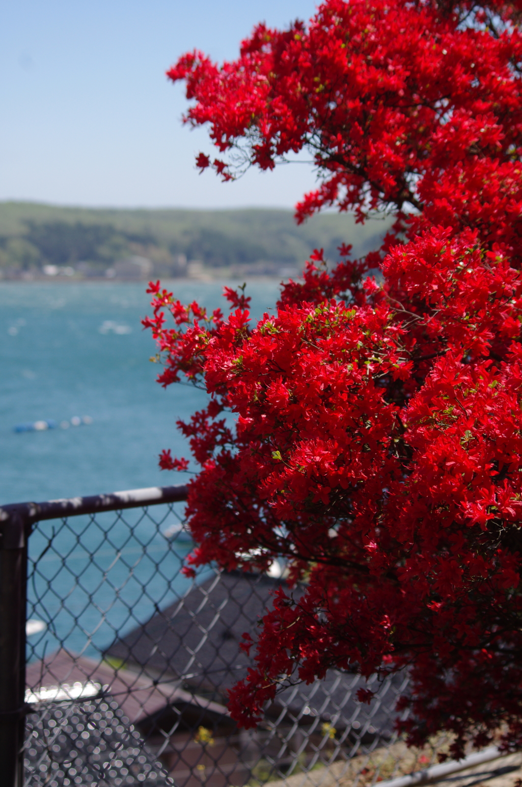 f:id:k10no3:20160505105340j:image:w318