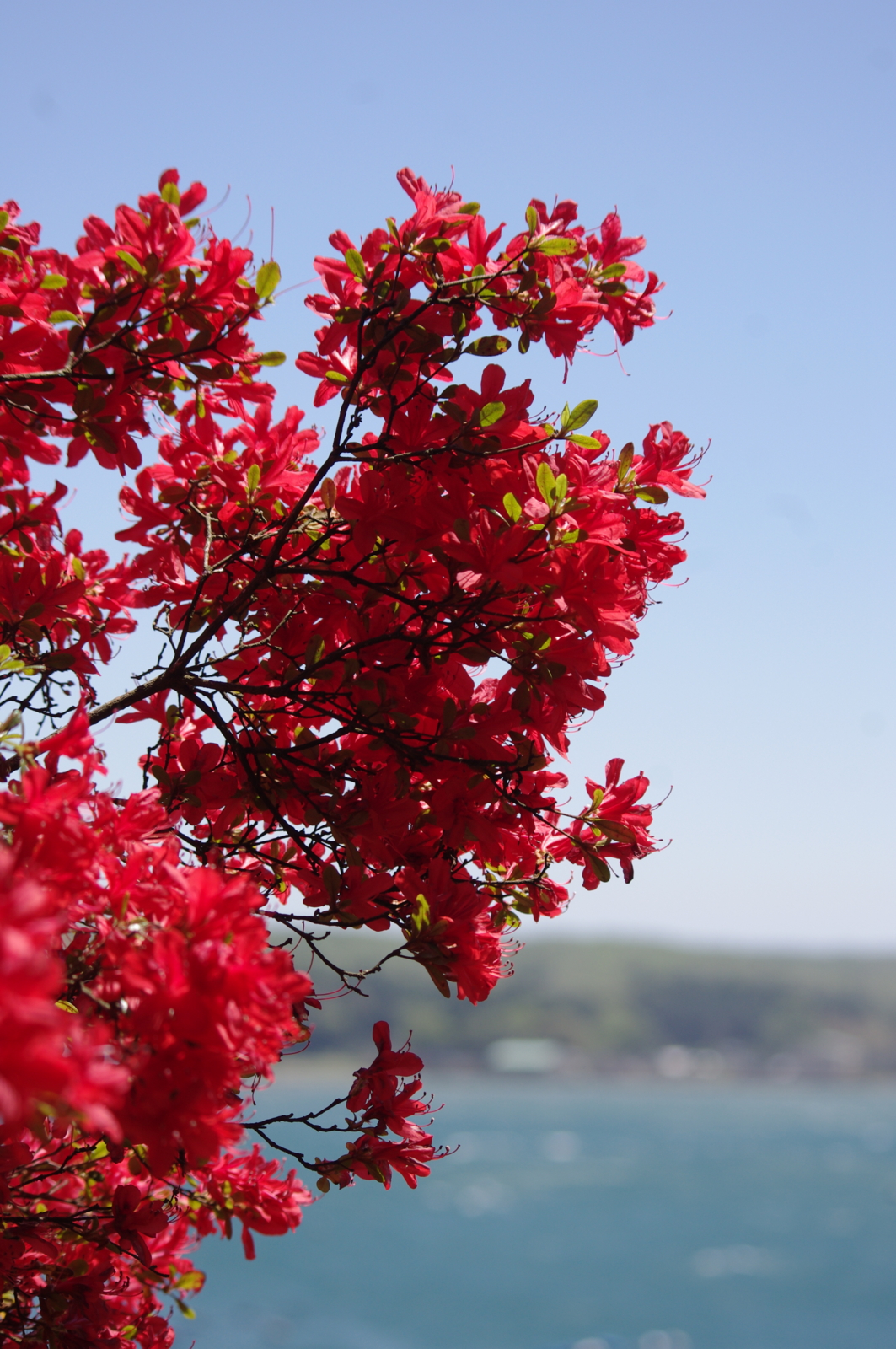 f:id:k10no3:20160505105414j:image:w318