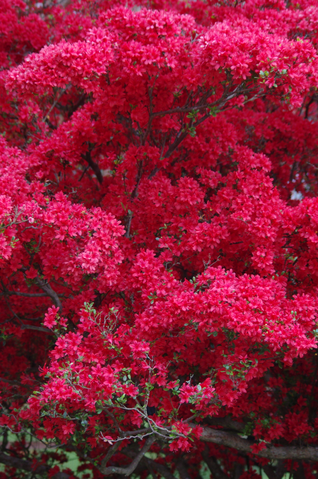f:id:k10no3:20160507101610j:image:w318