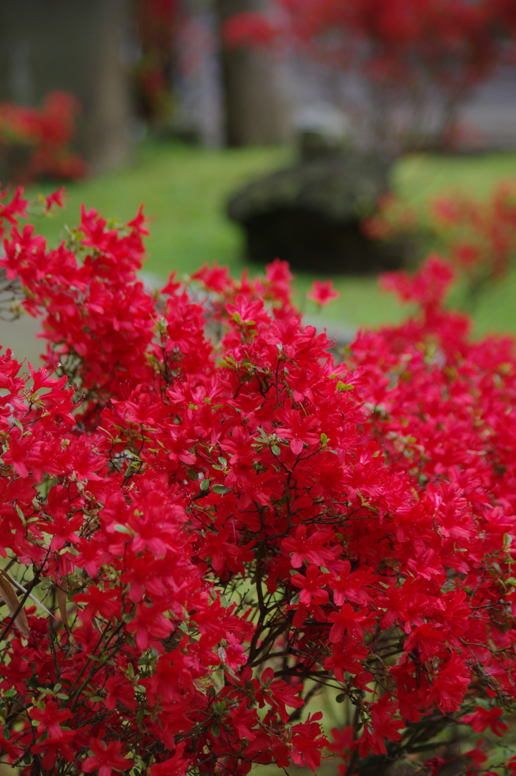 f:id:k10no3:20160507131304j:image:w318