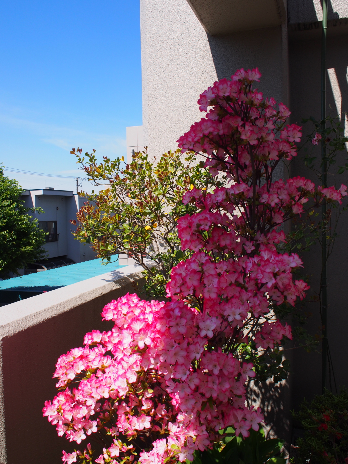 f:id:k10no3:20160508093406j:image:w318