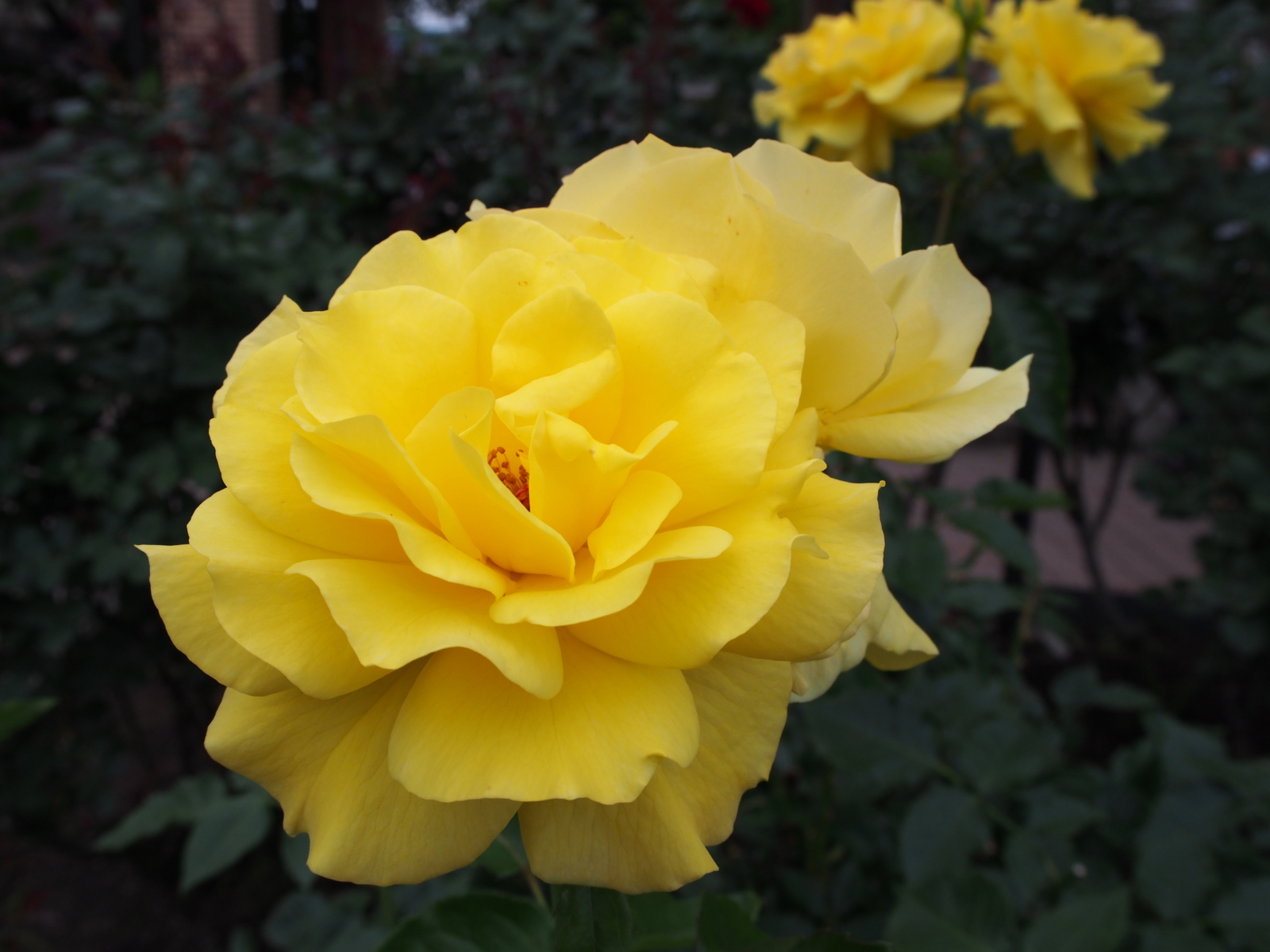 f:id:k10no3:20160612111531j:image:w640