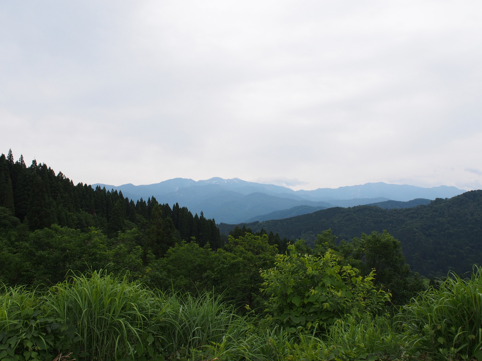 f:id:k10no3:20160619101157j:image:w640 f:id:k10no3:20160619101157j:image:w640