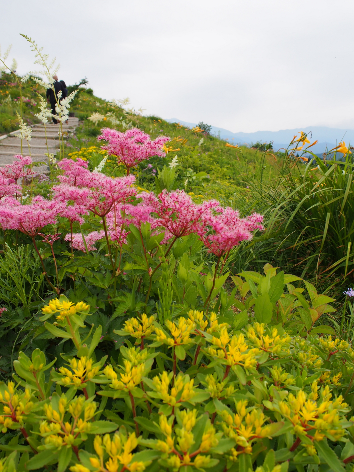 f:id:k10no3:20160619102305j:image:w318 f:id:k10no3:20160619102305j:image:w318