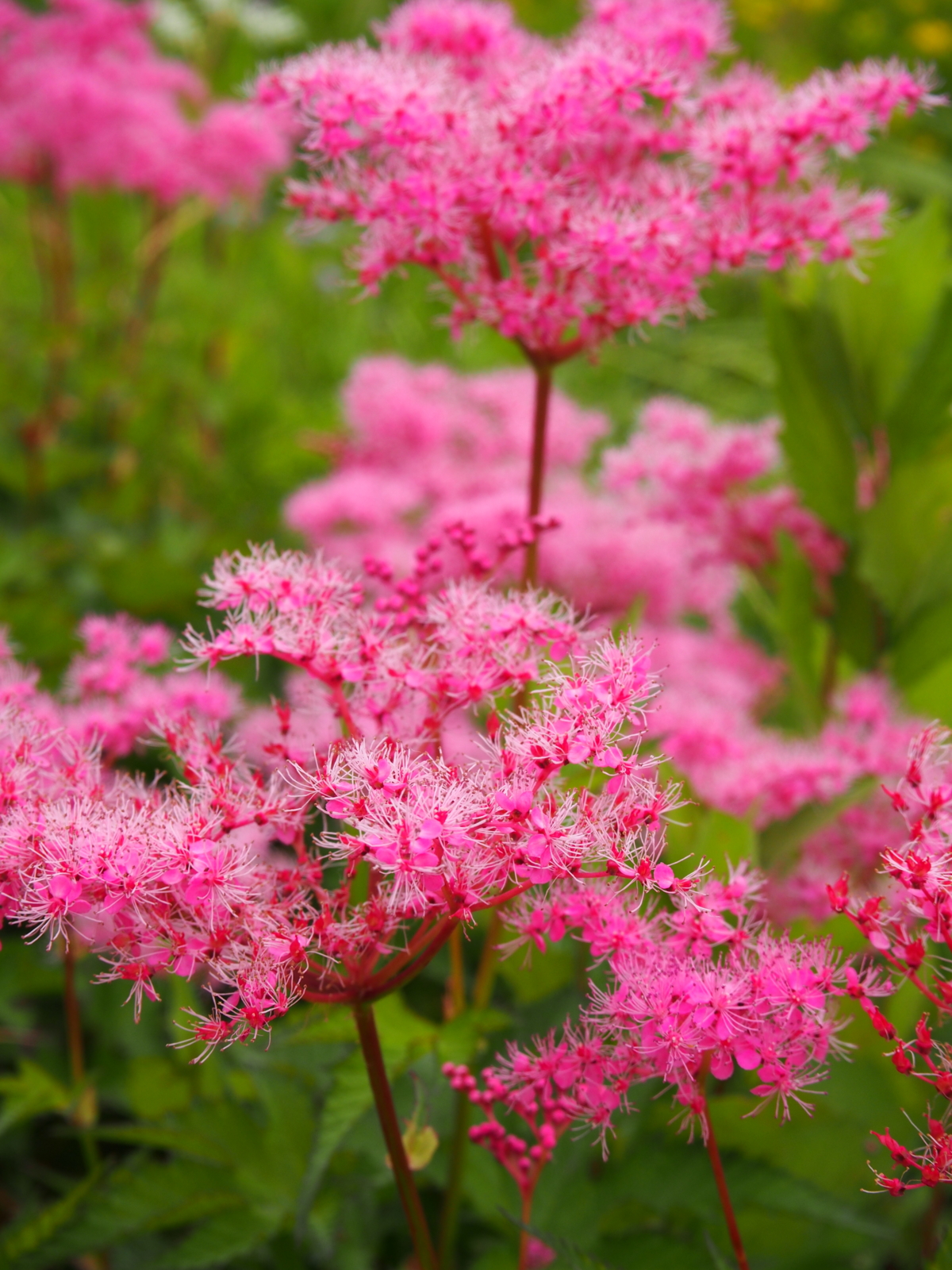 f:id:k10no3:20160619102317j:image:w318 f:id:k10no3:20160619102317j:image:w318