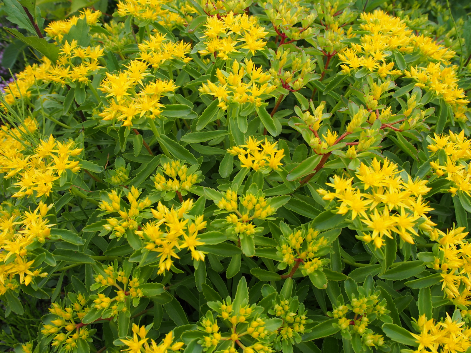 f:id:k10no3:20160619102402j:image:w640 f:id:k10no3:20160619102402j:image:w640