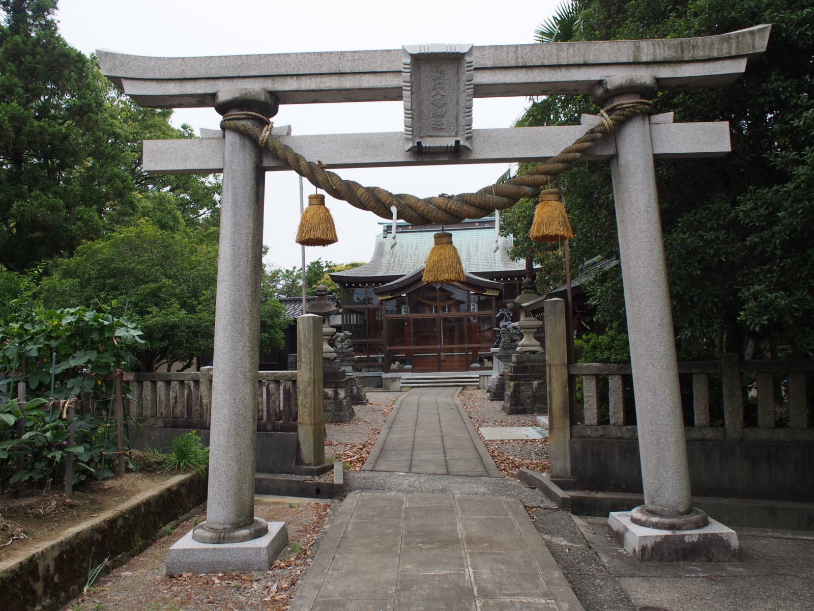 f:id:k10no3:20160619130156j:image:w318