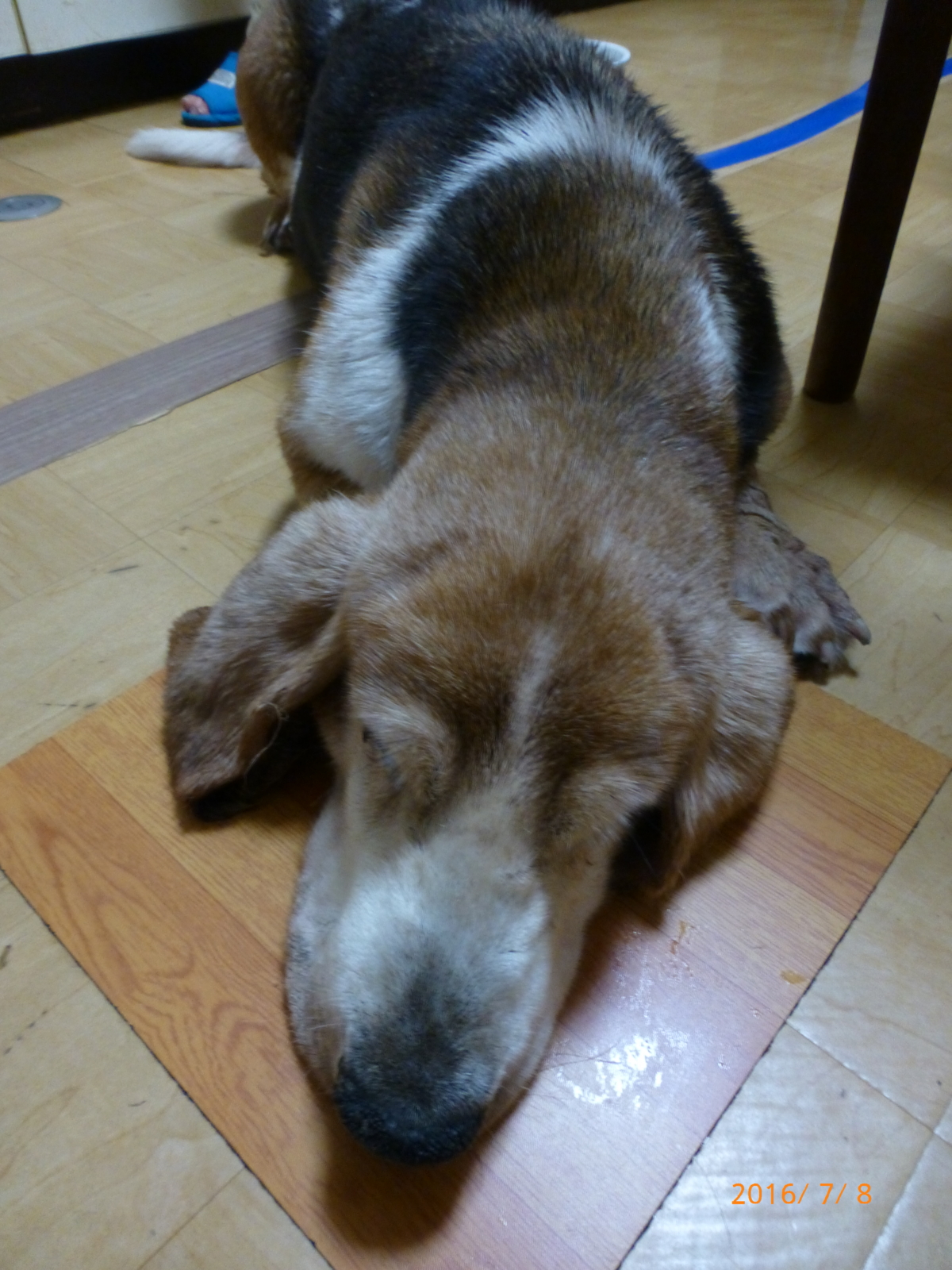 f:id:k10no3:20160708193134j:plain