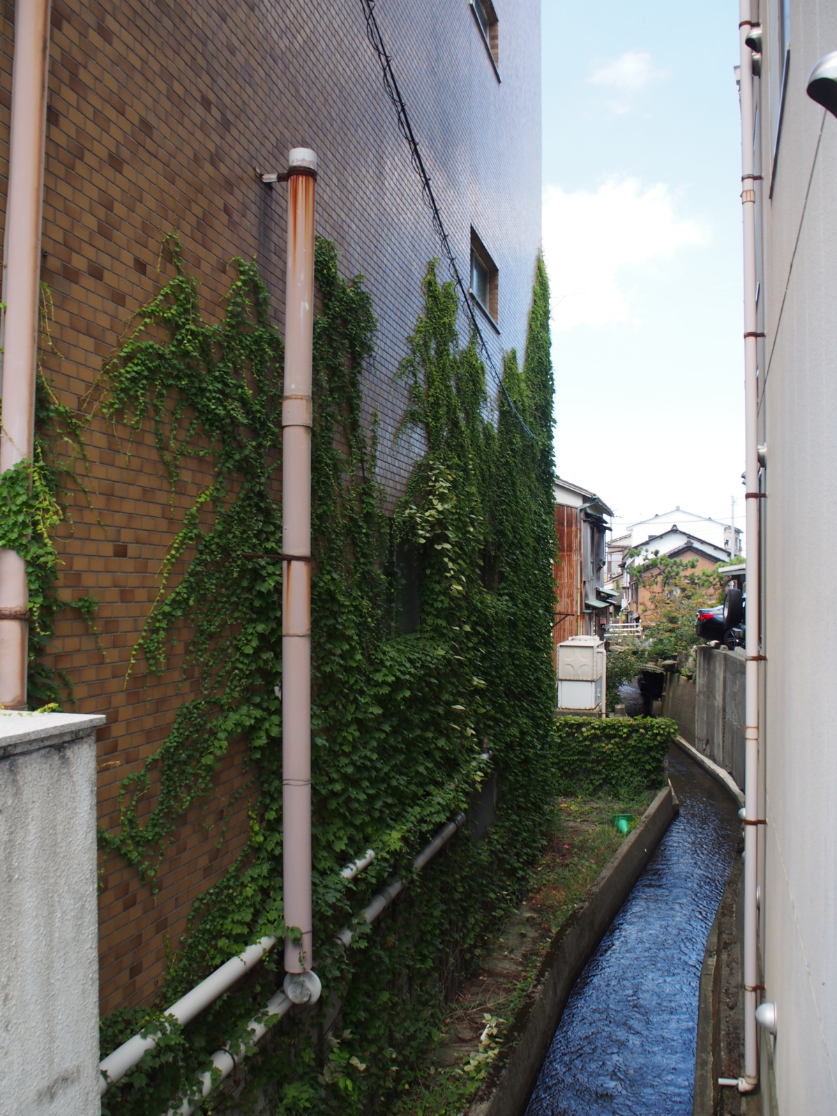 f:id:k10no3:20160910104928j:image:w318