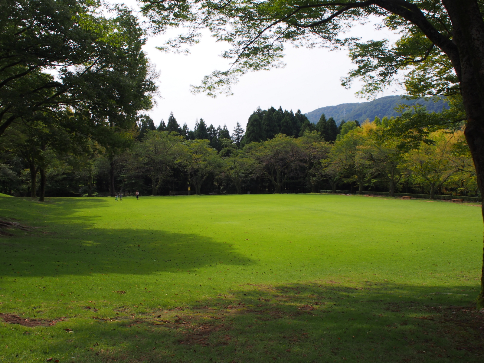 f:id:k10no3:20160924111251j:image:w640