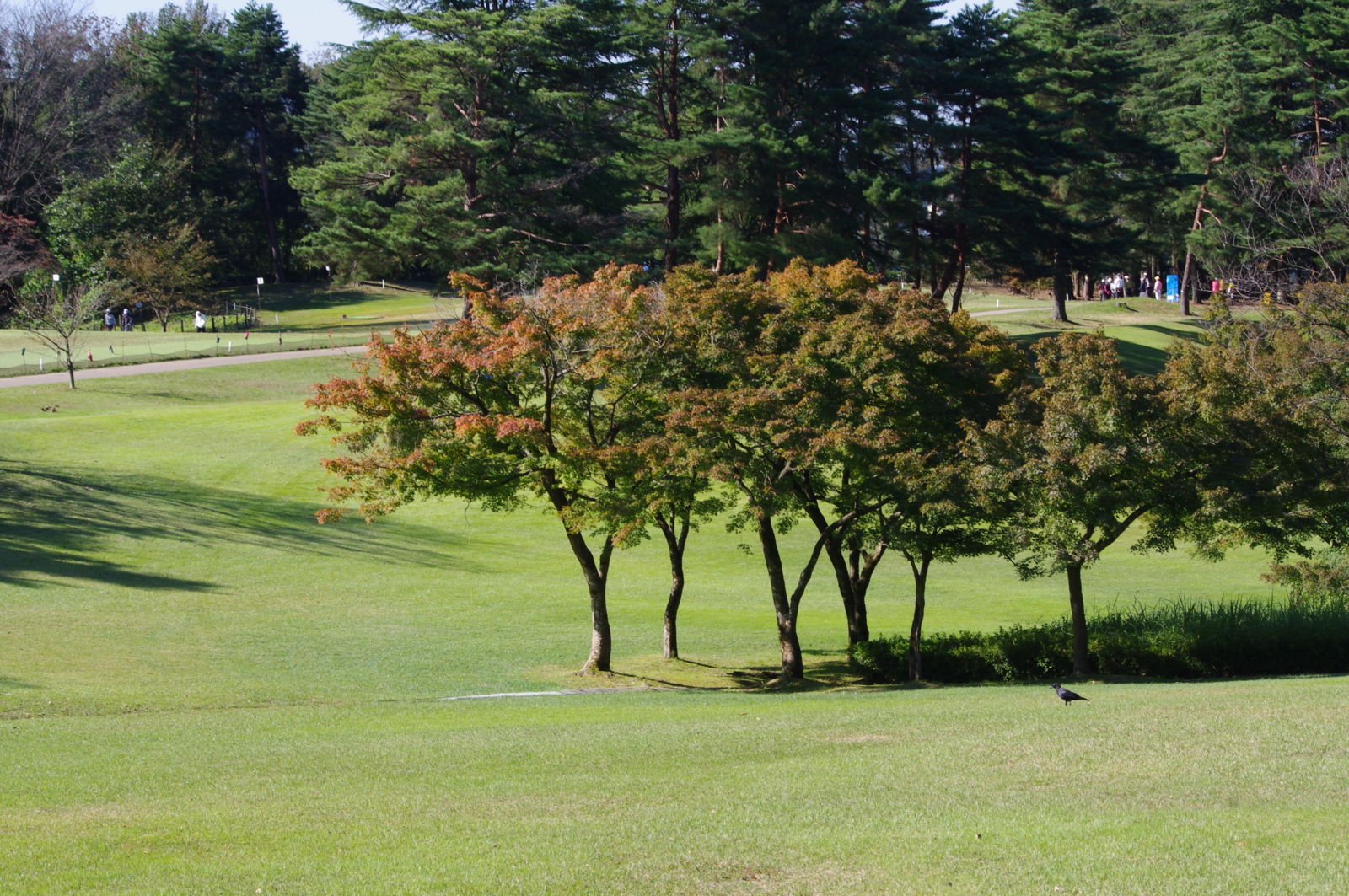 f:id:k10no3:20161015093419j:image:w640