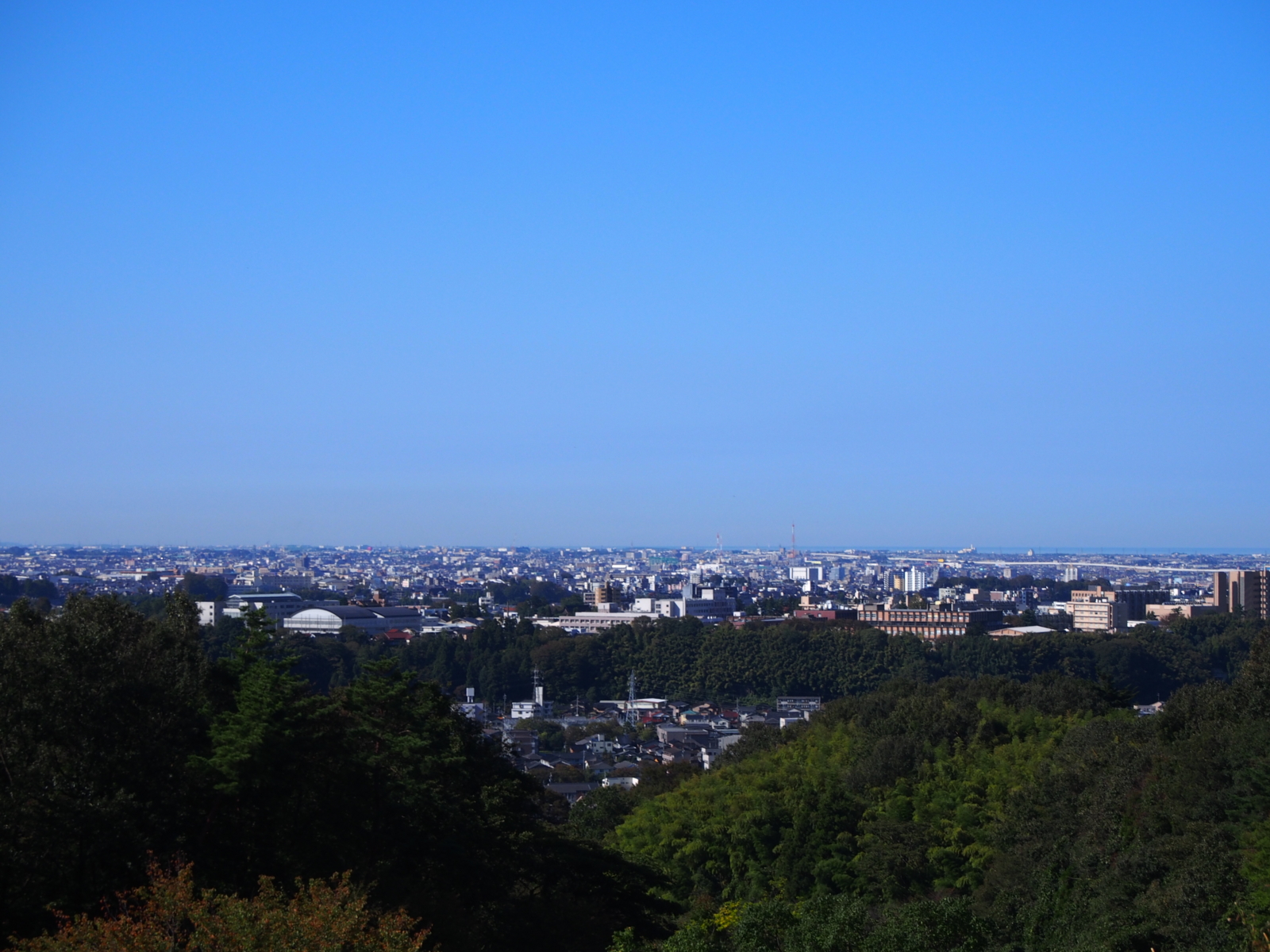 f:id:k10no3:20161015093625j:image:w640