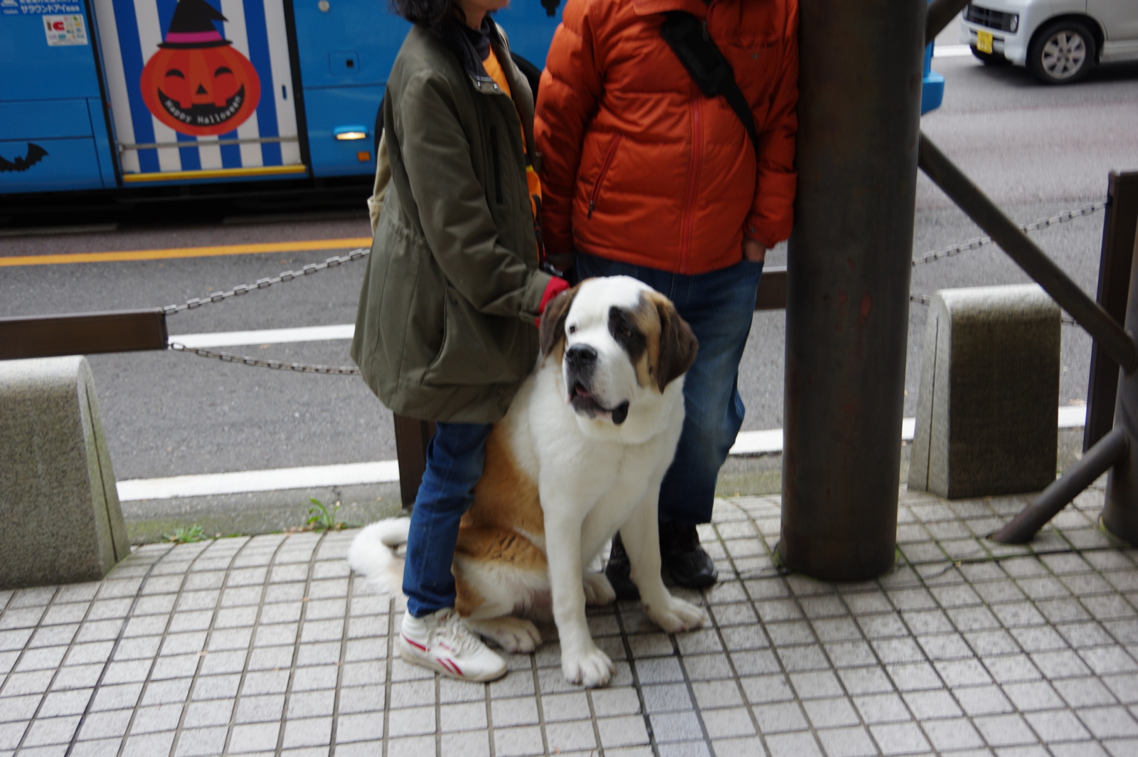 f:id:k10no3:20161029154554j:image:w640