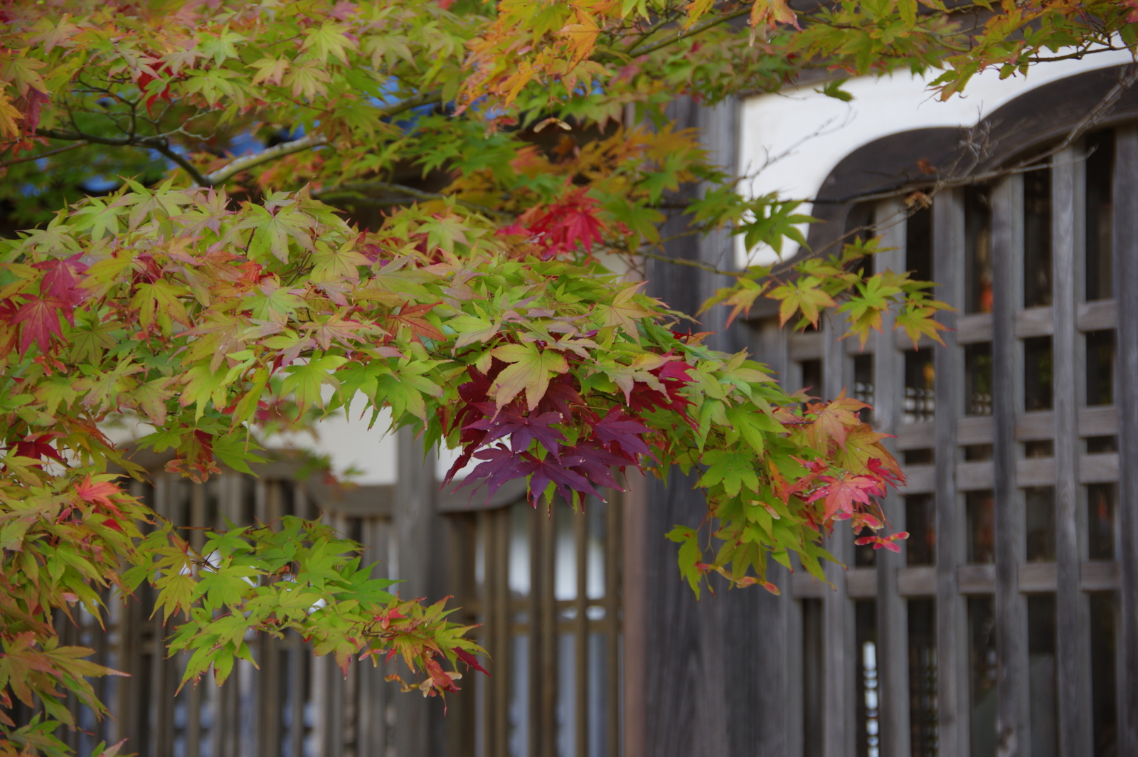 f:id:k10no3:20161030131646j:image:w640