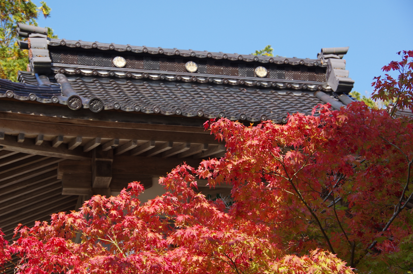 f:id:k10no3:20161030131722j:image:w640