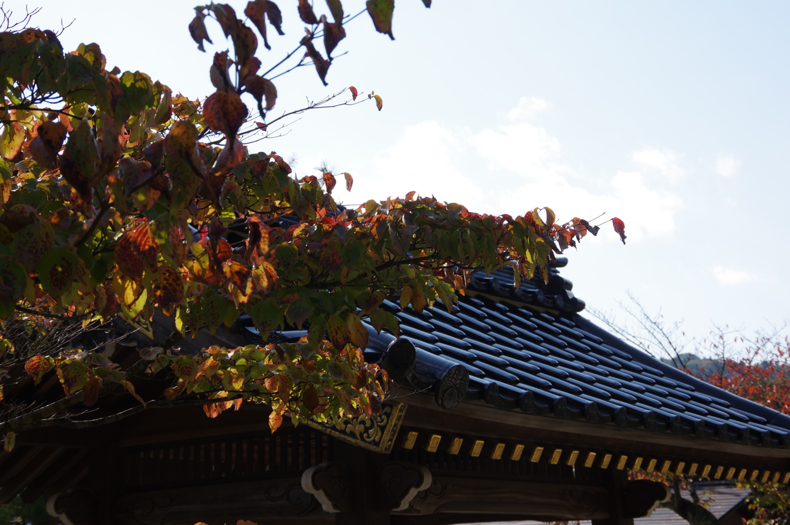 f:id:k10no3:20161030133255j:image:w640