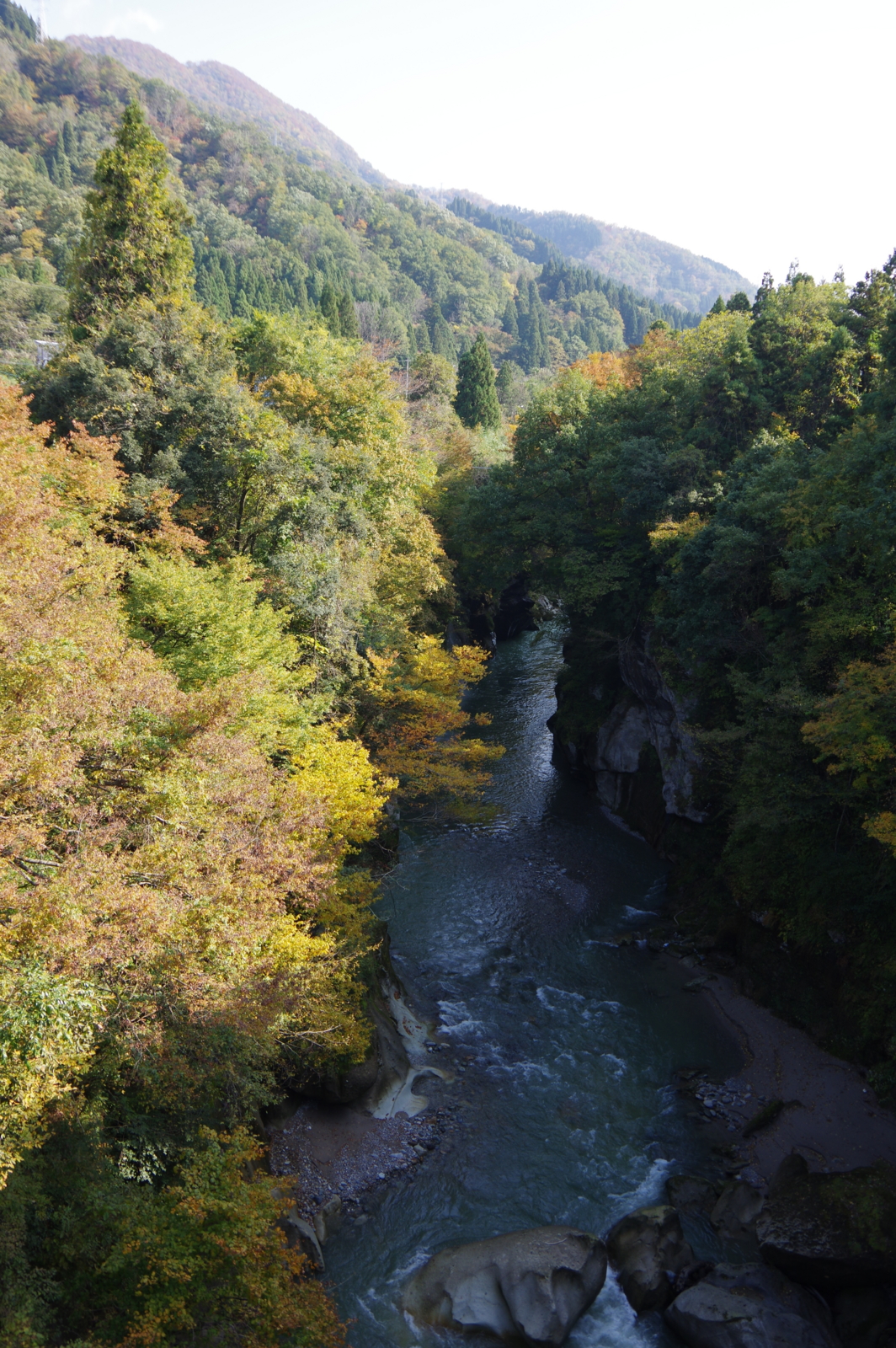 f:id:k10no3:20161106122612j:image:w318