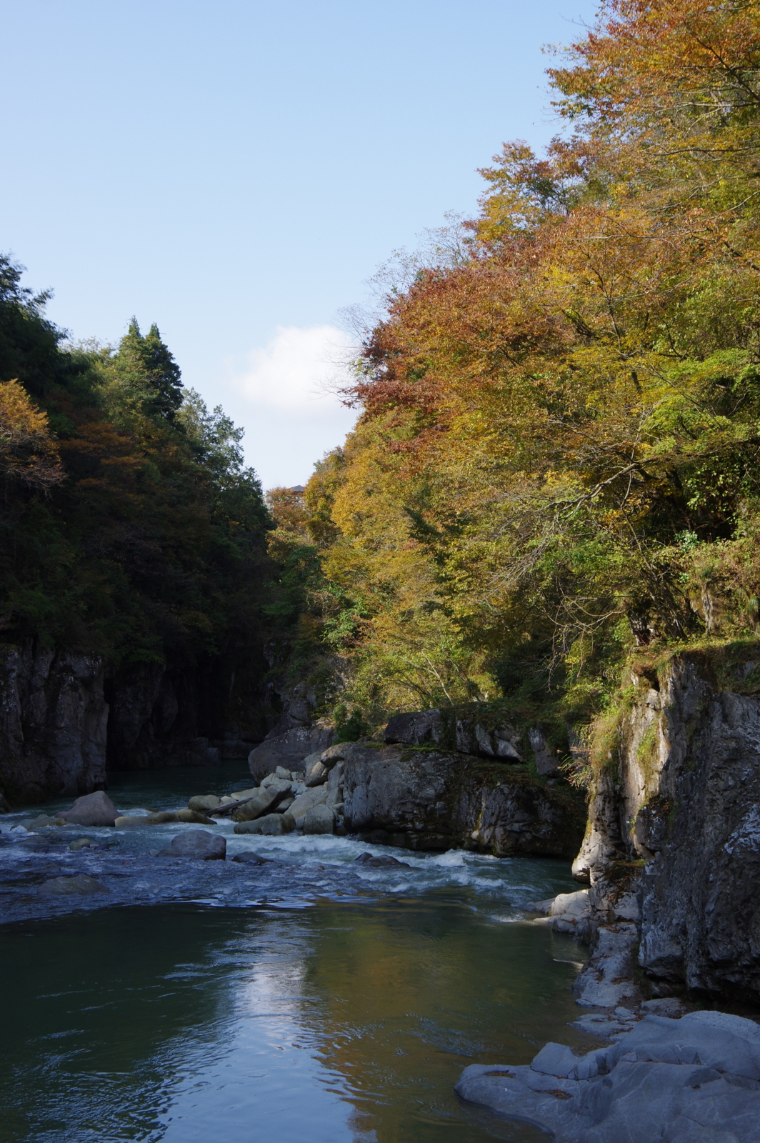 f:id:k10no3:20161106123936j:image:w318 f:id:k10no3:20161106123936j:image:w318