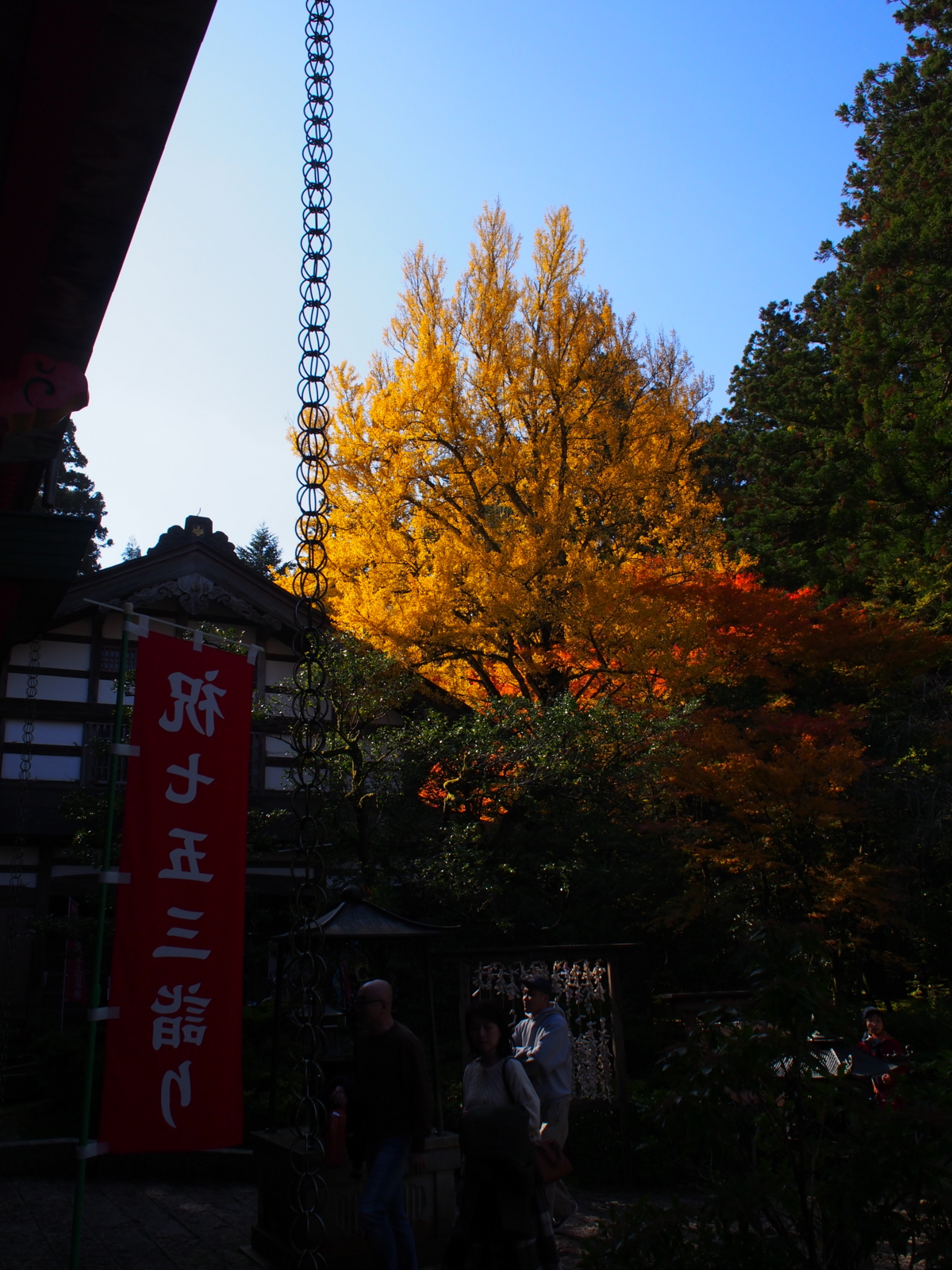 f:id:k10no3:20161112103822j:image:w318
