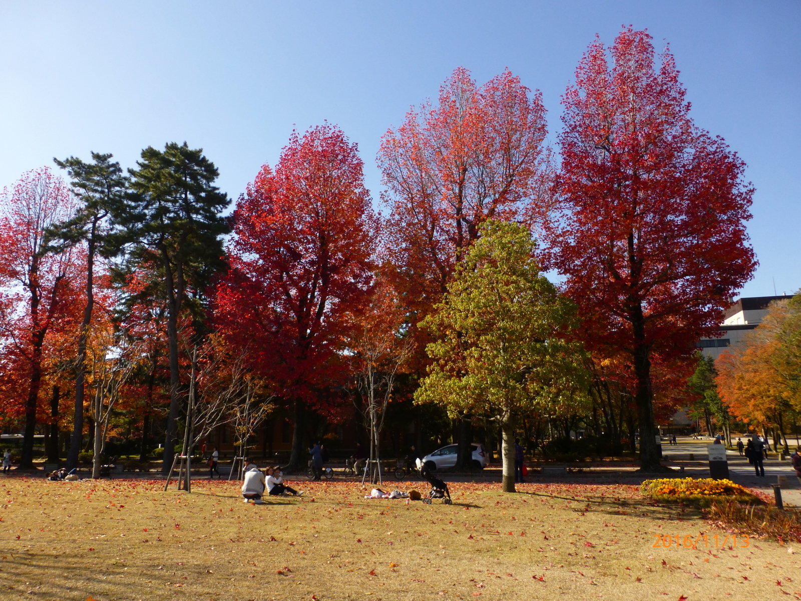 f:id:k10no3:20161113121131j:image:w640