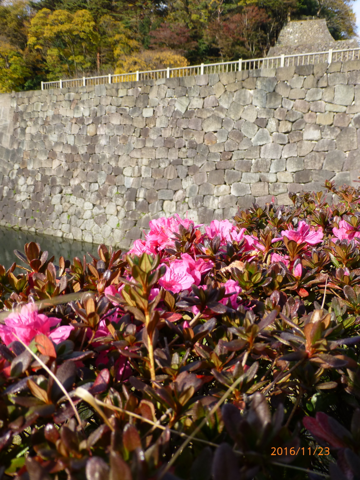 f:id:k10no3:20161123135639j:image:w318