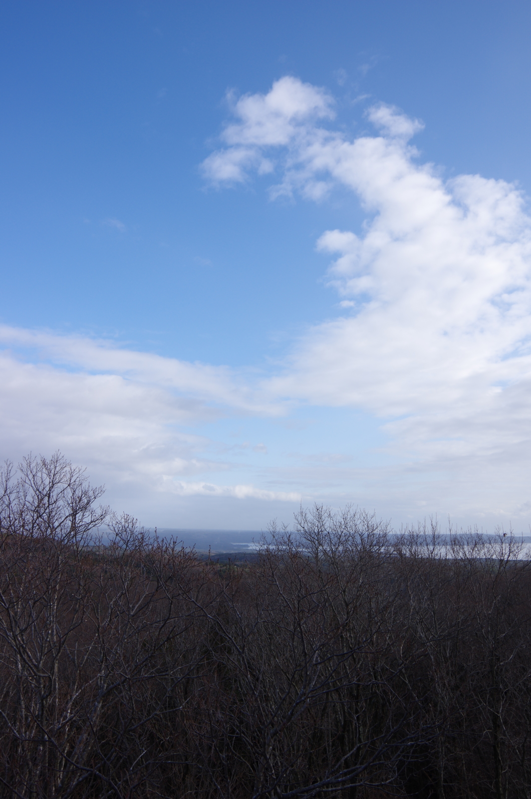 f:id:k10no3:20161224093847j:image:w318