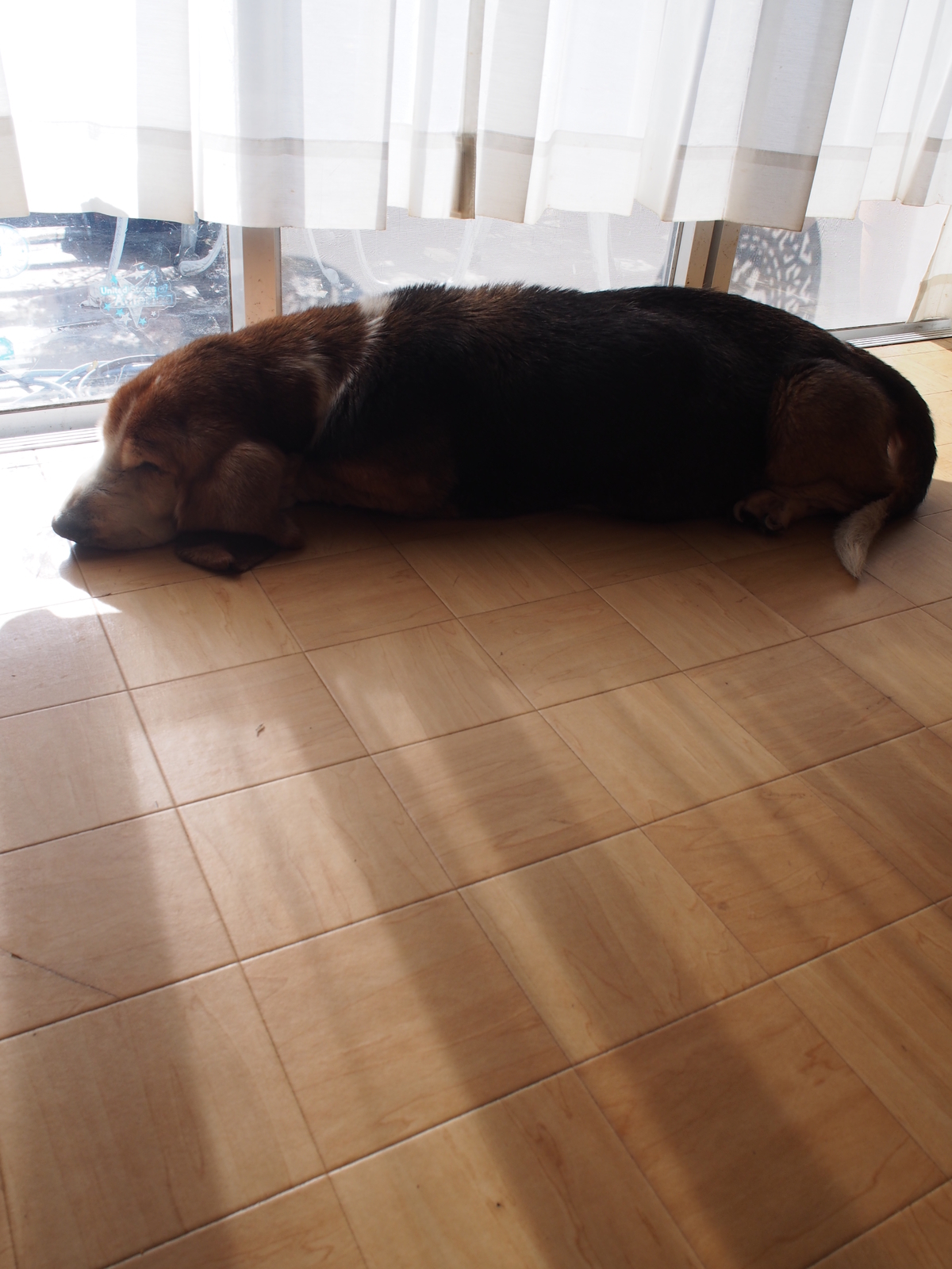 f:id:k10no3:20170101123615j:image:w640