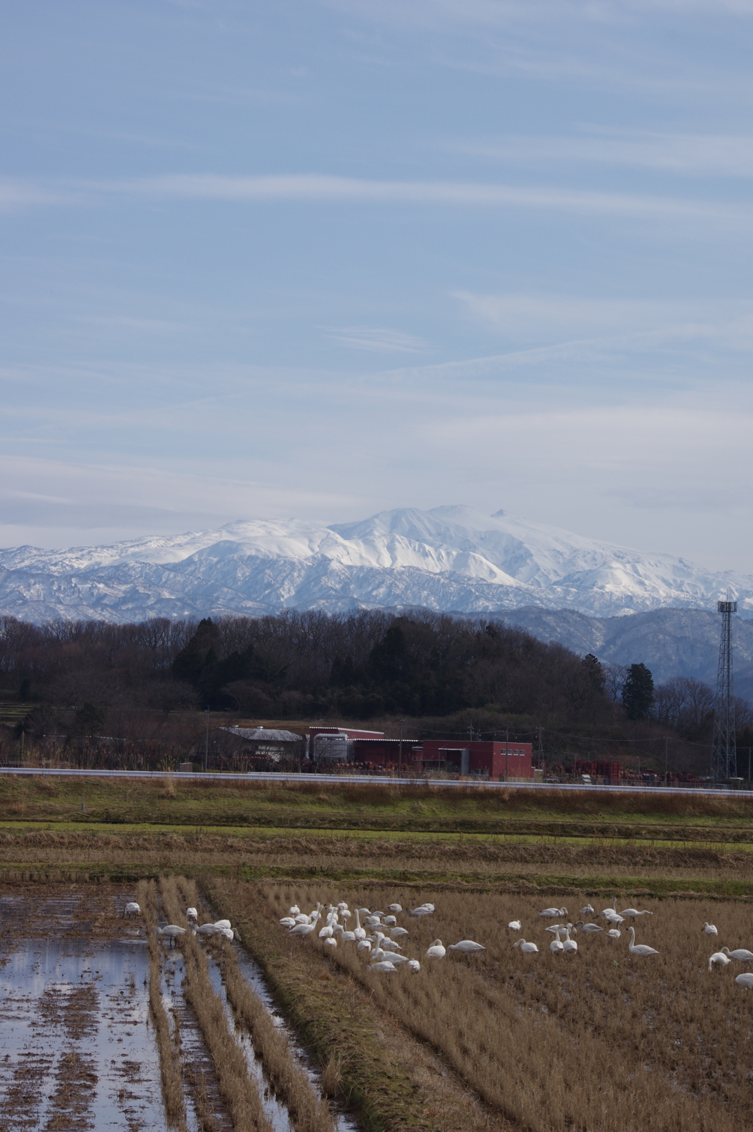 f:id:k10no3:20170129123850j:image:w318