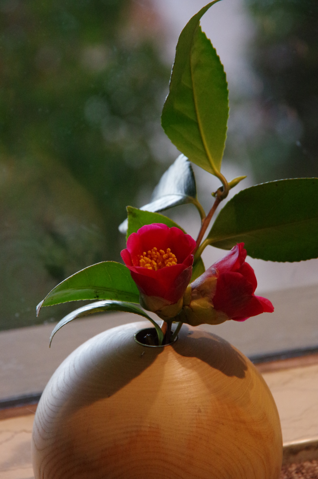 f:id:k10no3:20170319120121j:image:w640