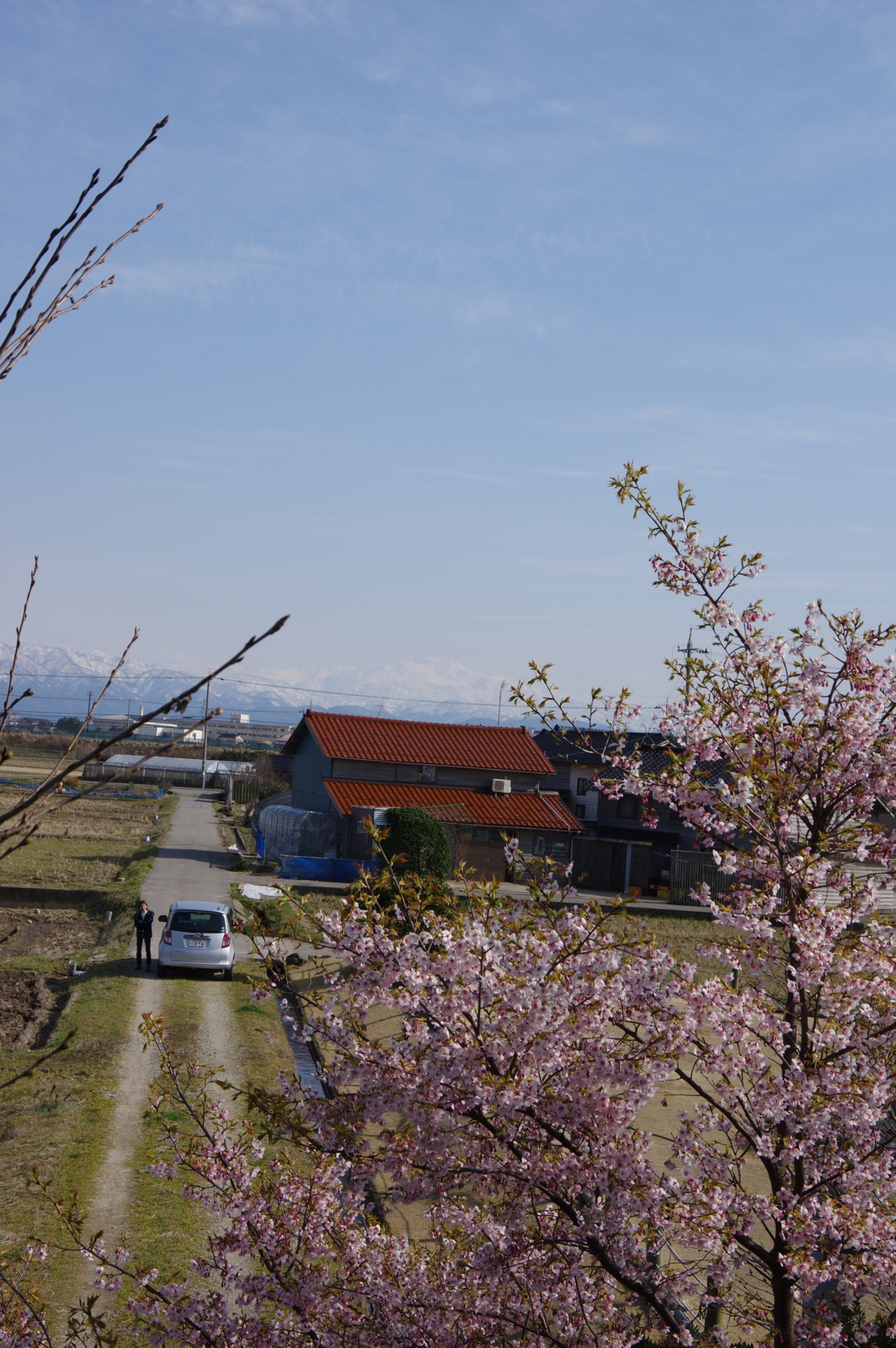 f:id:k10no3:20170325150945j:image:w640