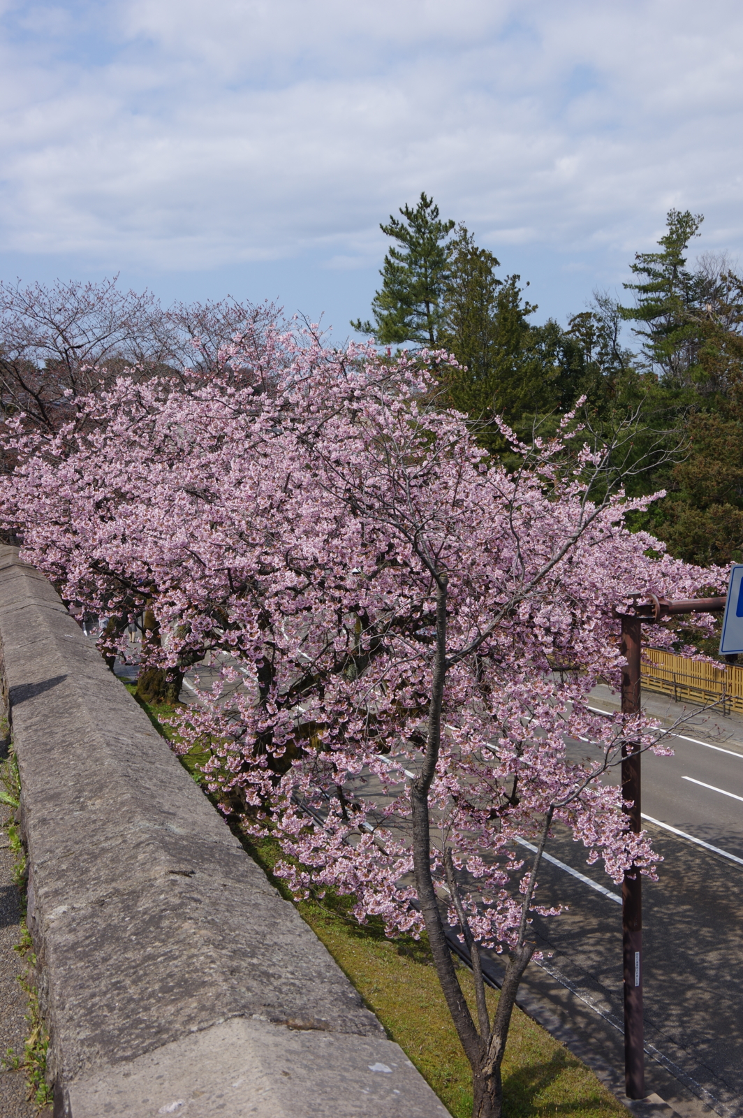 f:id:k10no3:20170401130631j:image:w318