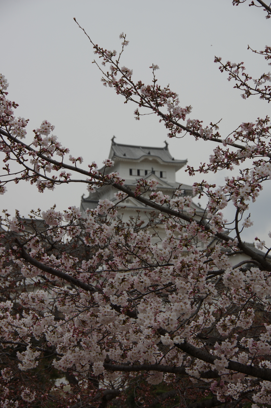 f:id:k10no3:20170405123944j:image:w318