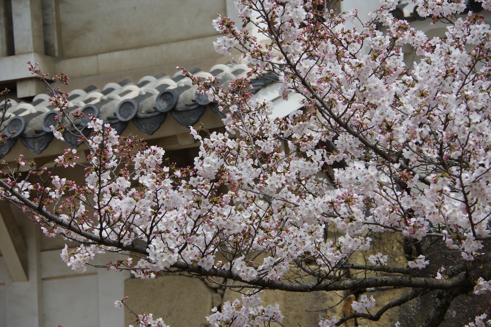 f:id:k10no3:20170405131144j:plain