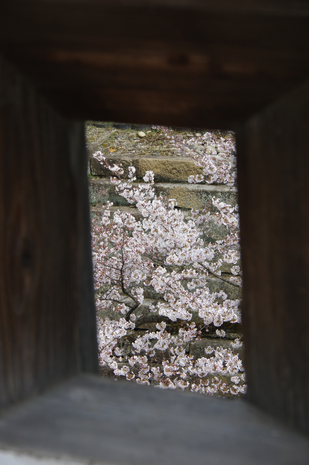 f:id:k10no3:20170405132138j:image:w318