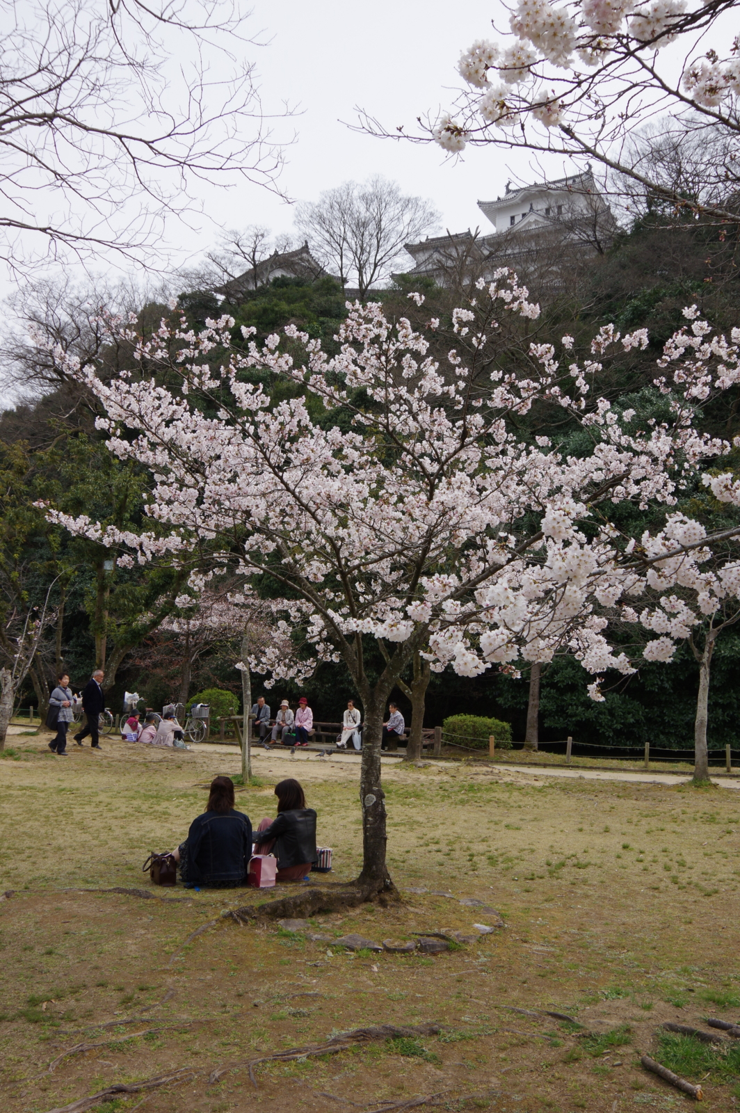 f:id:k10no3:20170405140101j:image:w318