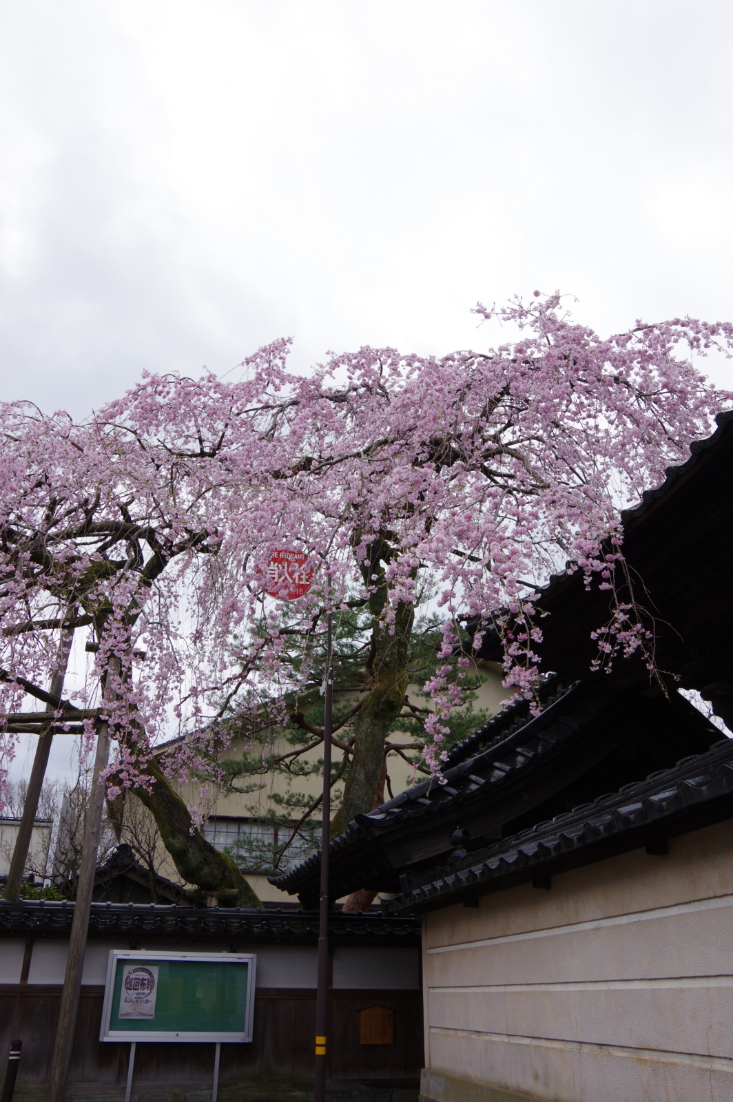 f:id:k10no3:20170408084934j:image:w318