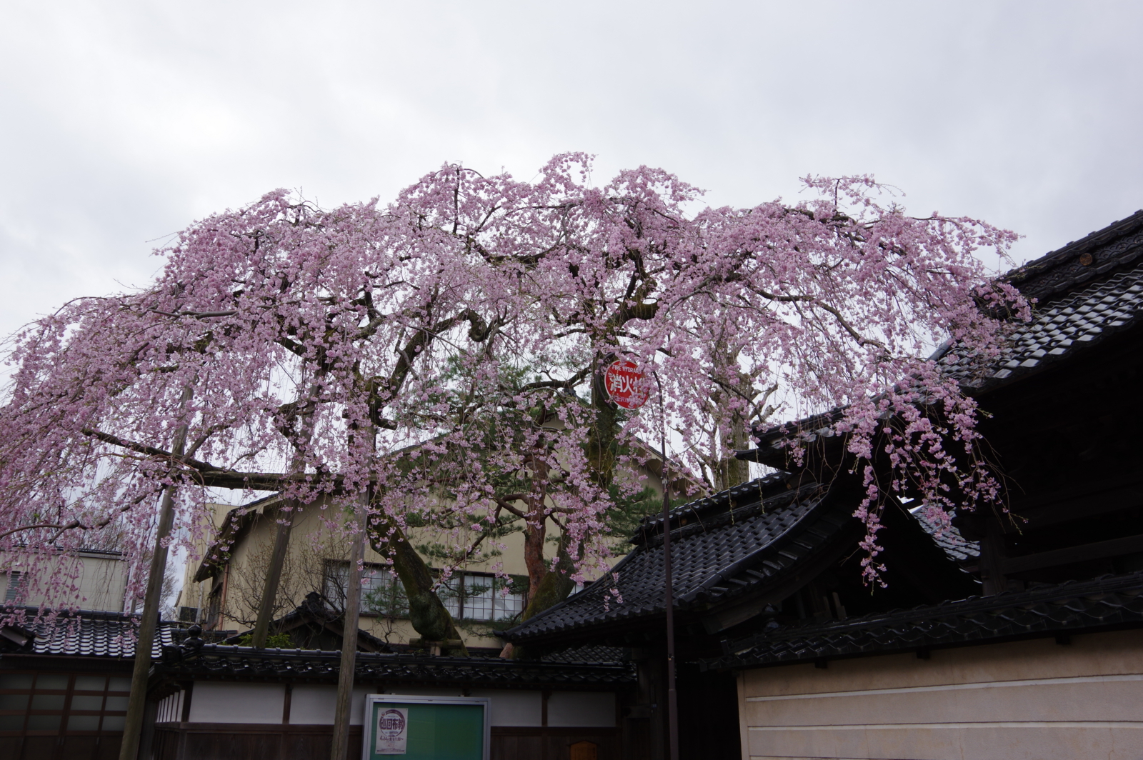 f:id:k10no3:20170408085244j:image:w640