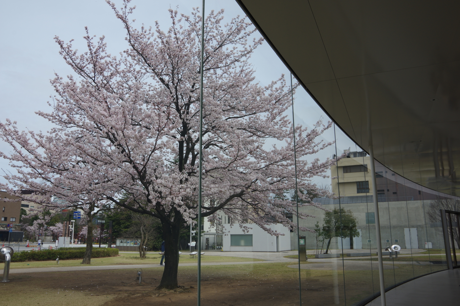 f:id:k10no3:20170408095244j:image:w640