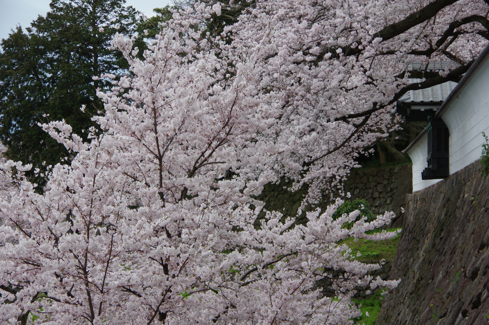 f:id:k10no3:20170408105714j:image:w640