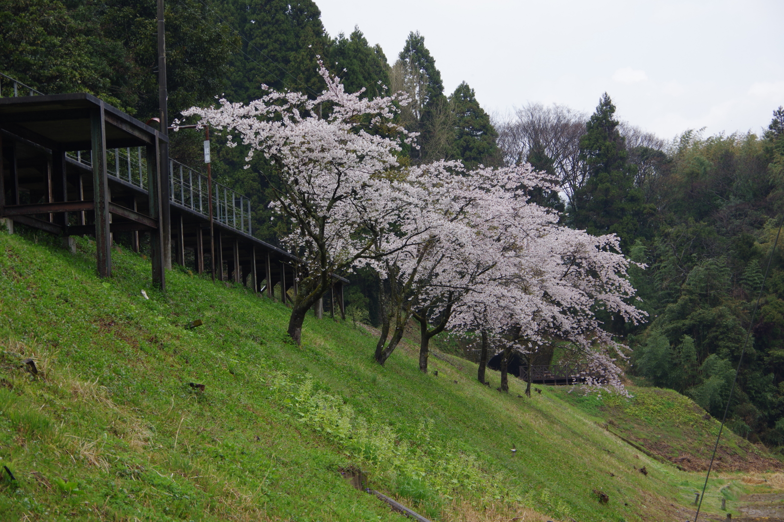 f:id:k10no3:20170415101806j:image:w640 f:id:k10no3:20170415101806j:image:w640