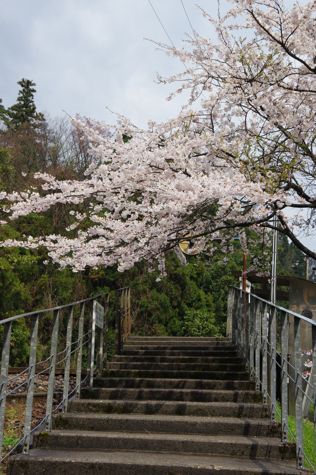 f:id:k10no3:20170415101916j:image:w640 f:id:k10no3:20170415101916j:image:w640