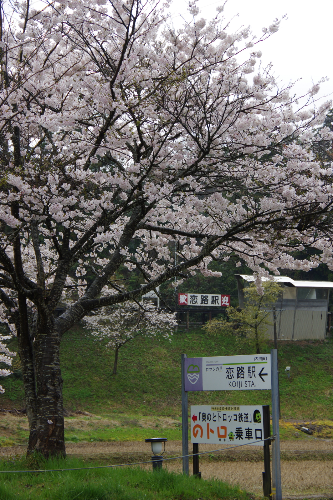 f:id:k10no3:20170415102926j:image:w640 f:id:k10no3:20170415102926j:image:w640