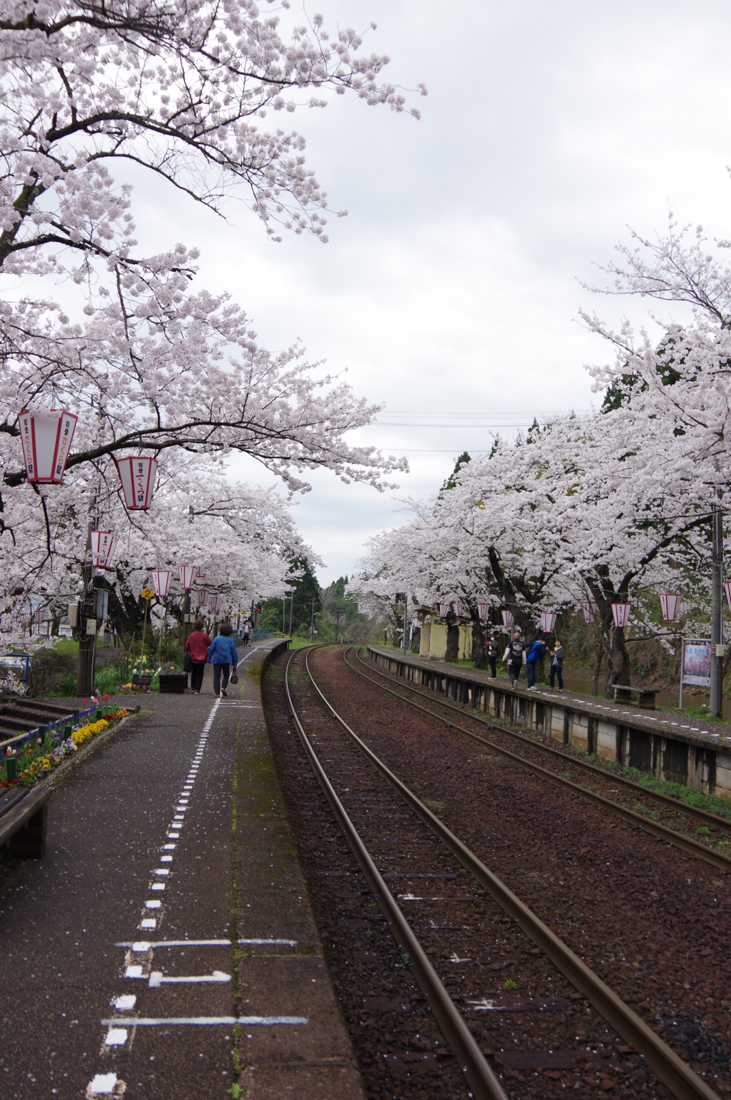 f:id:k10no3:20170415125127j:image:w318