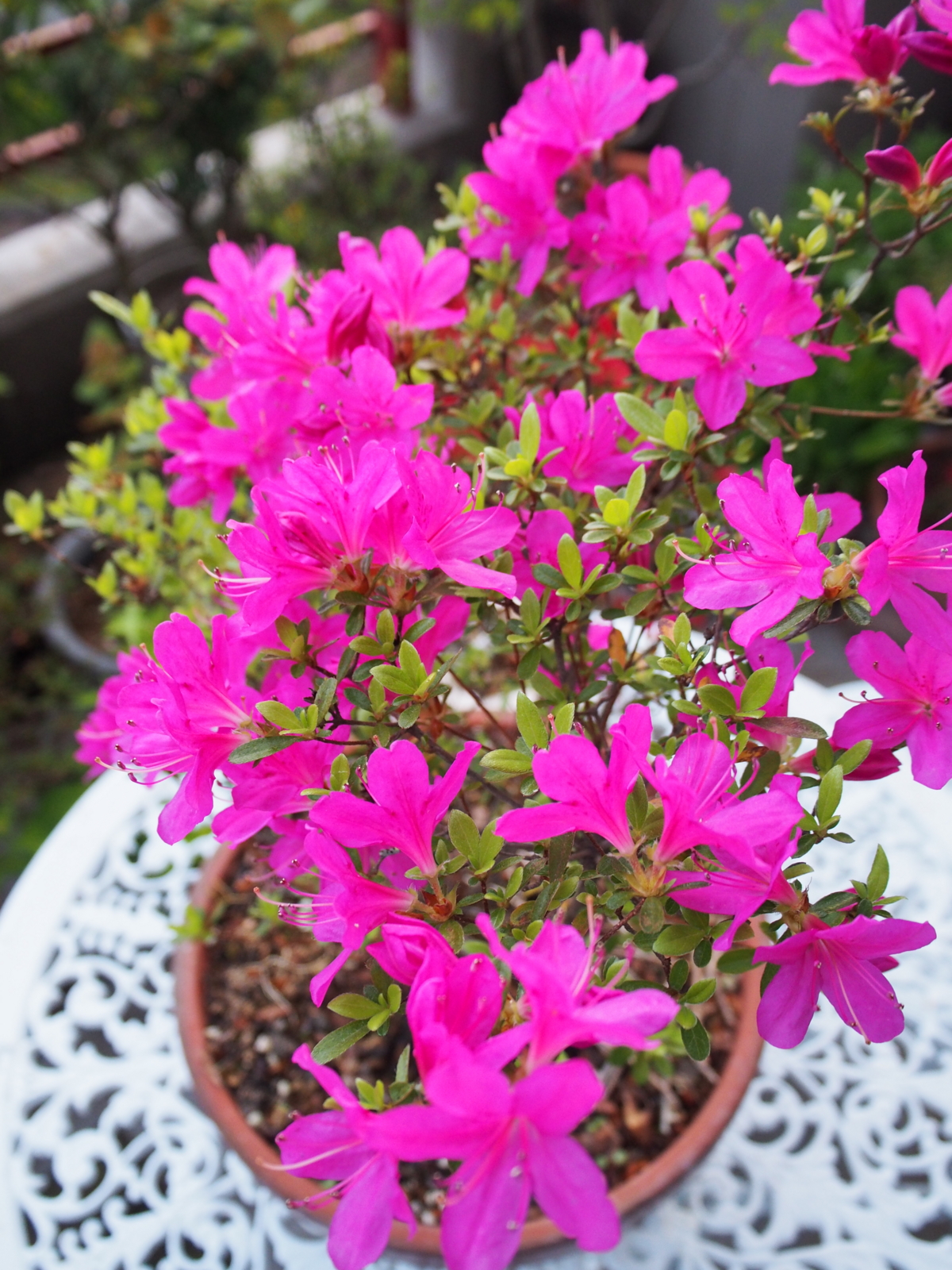 f:id:k10no3:20170424181406j:image:w640