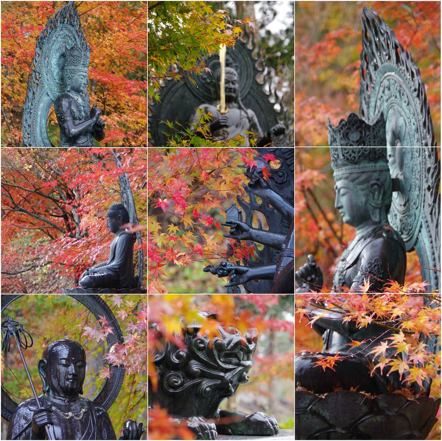f:id:k10no3:20171118093305j:image:w640 f:id:k10no3:20171118093305j:image:w640