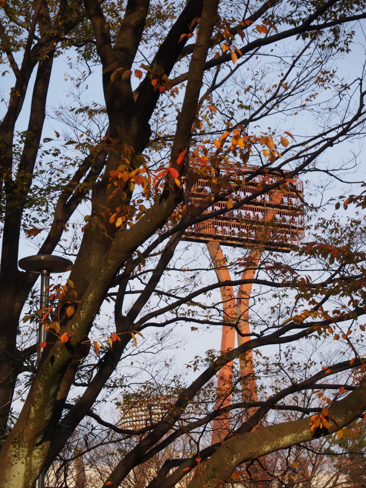 f:id:k10no3:20171122073918j:image:w640