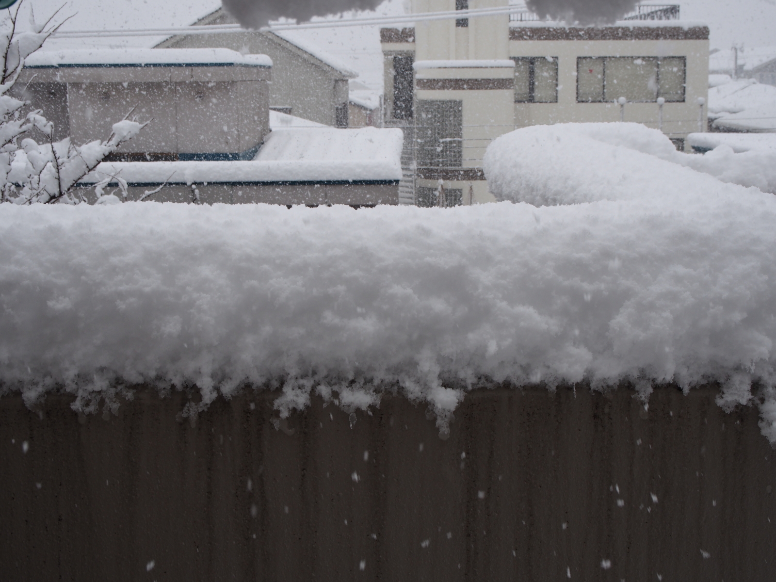 f:id:k10no3:20171217102545j:image:w640