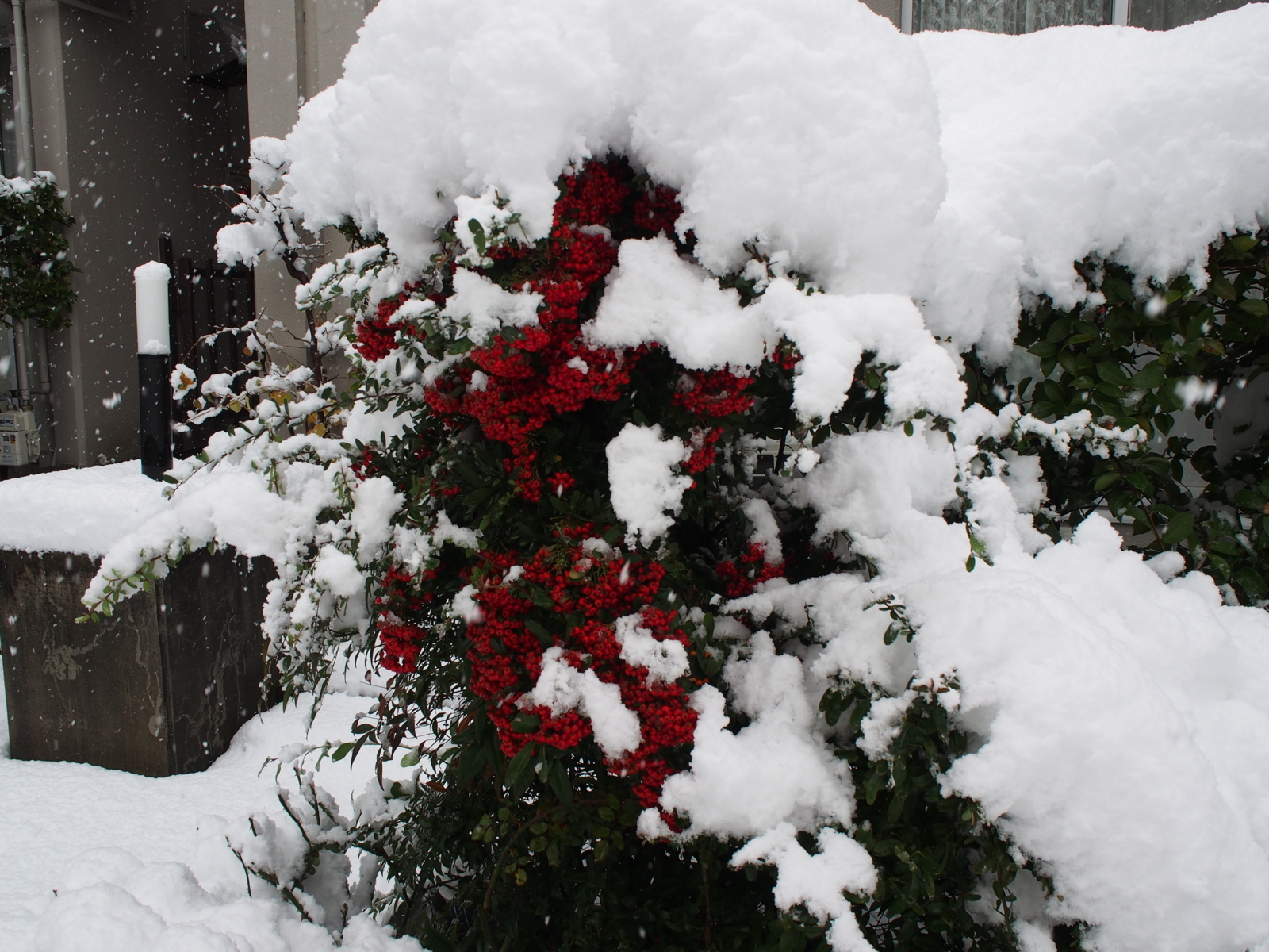 f:id:k10no3:20171217103829j:image:w640