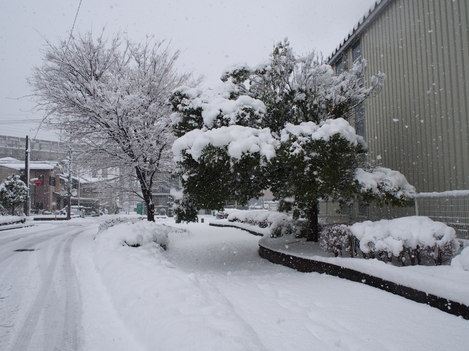 f:id:k10no3:20171217103931j:image:w640