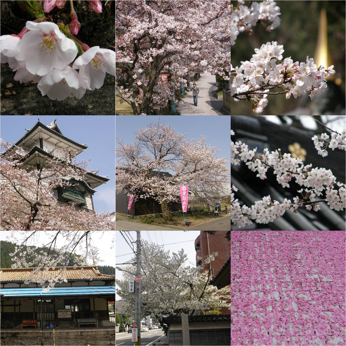 f:id:k10no3:20180102093259j:image:w640